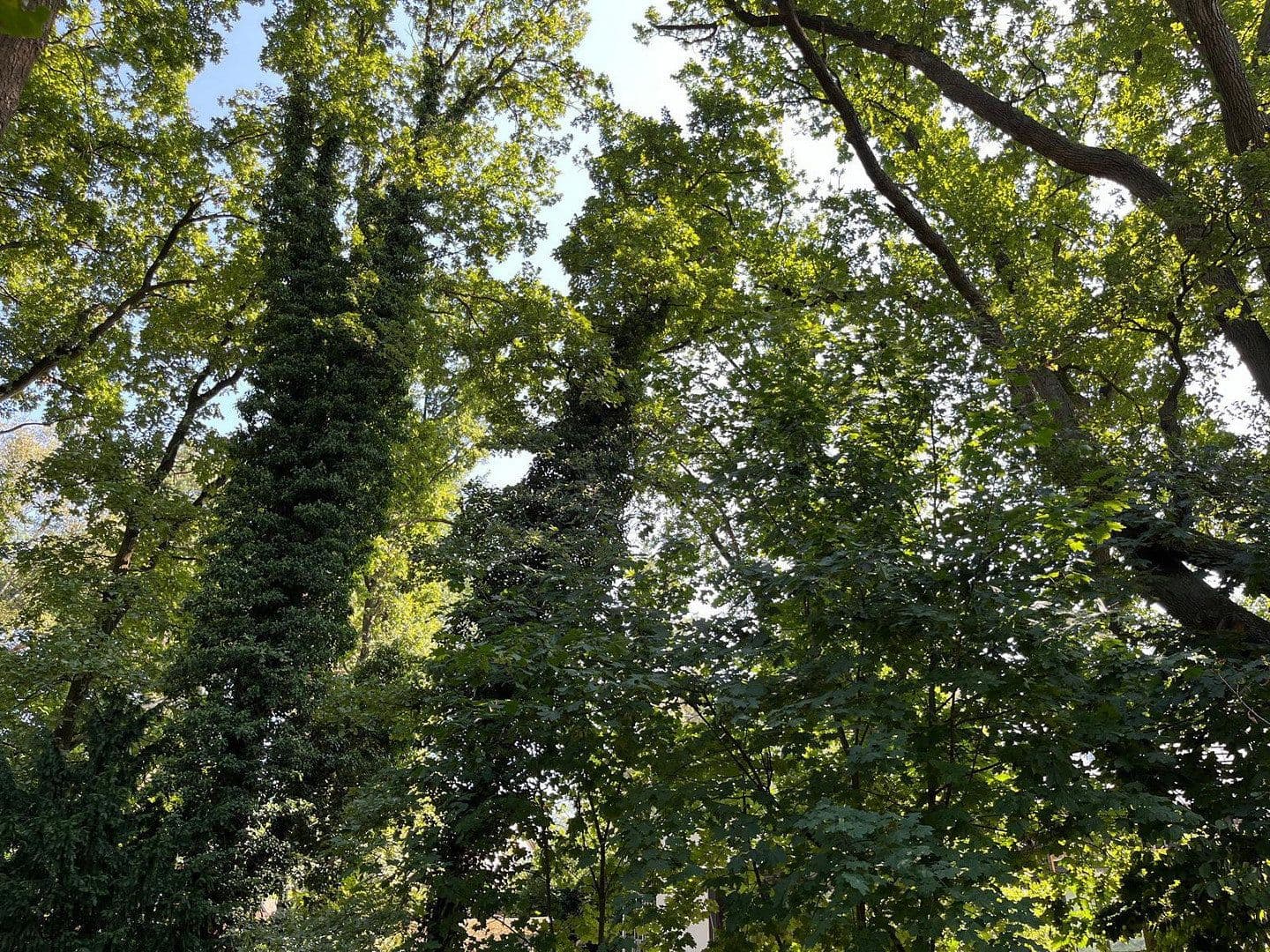 Prodej domu 269 m², pozemek 734 m², Glienicke/Nordbahn, Braniborsko Prodej domu 269 m², pozemek 734 m², Glienicke/Nordbahn, Braniborsko