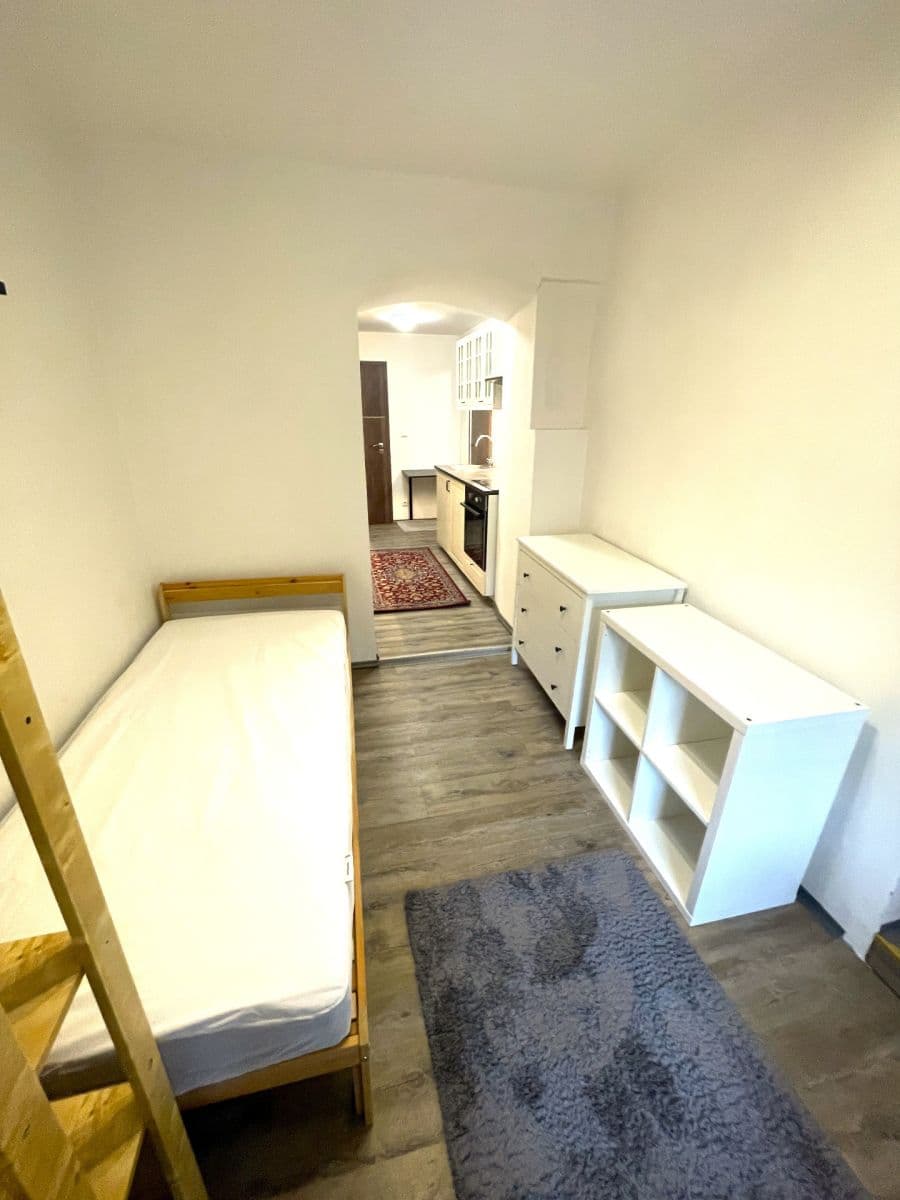 Pronájem bytu 1+kk 18 m², Na Cikánce, Praha, Praha Pronájem bytu 1+kk 18 m², Na Cikánce, Praha, Praha