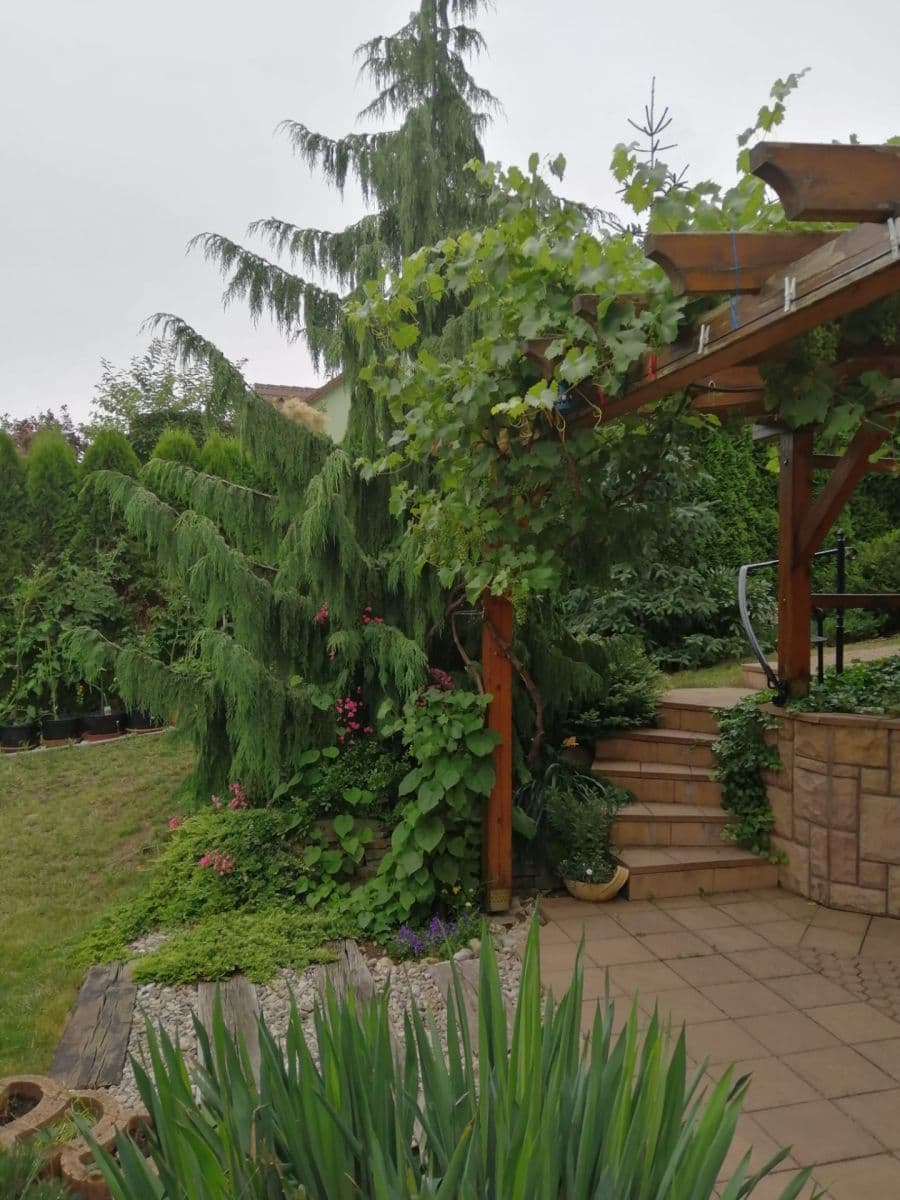 Prodej domu 191 m², pozemek 905 m², Okružní, Choceň, Pardubický kraj Prodej domu 191 m², pozemek 905 m², Okružní, Choceň, Pardubický kraj