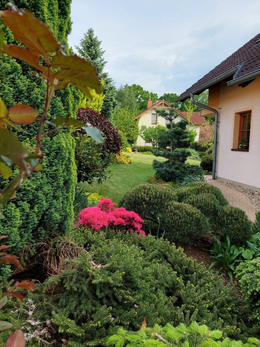 Prodej domu 191 m², pozemek 905 m², Okružní, Choceň, Pardubický kraj Prodej domu 191 m², pozemek 905 m², Okružní, Choceň, Pardubický kraj