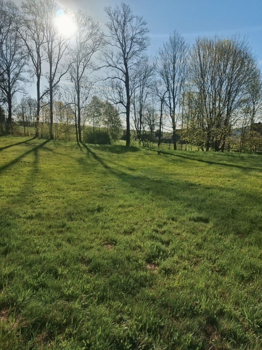 Prodej pozemku 2.670 m², Svojek, Liberecký kraj Prodej pozemku 2.670 m², Svojek, Liberecký kraj