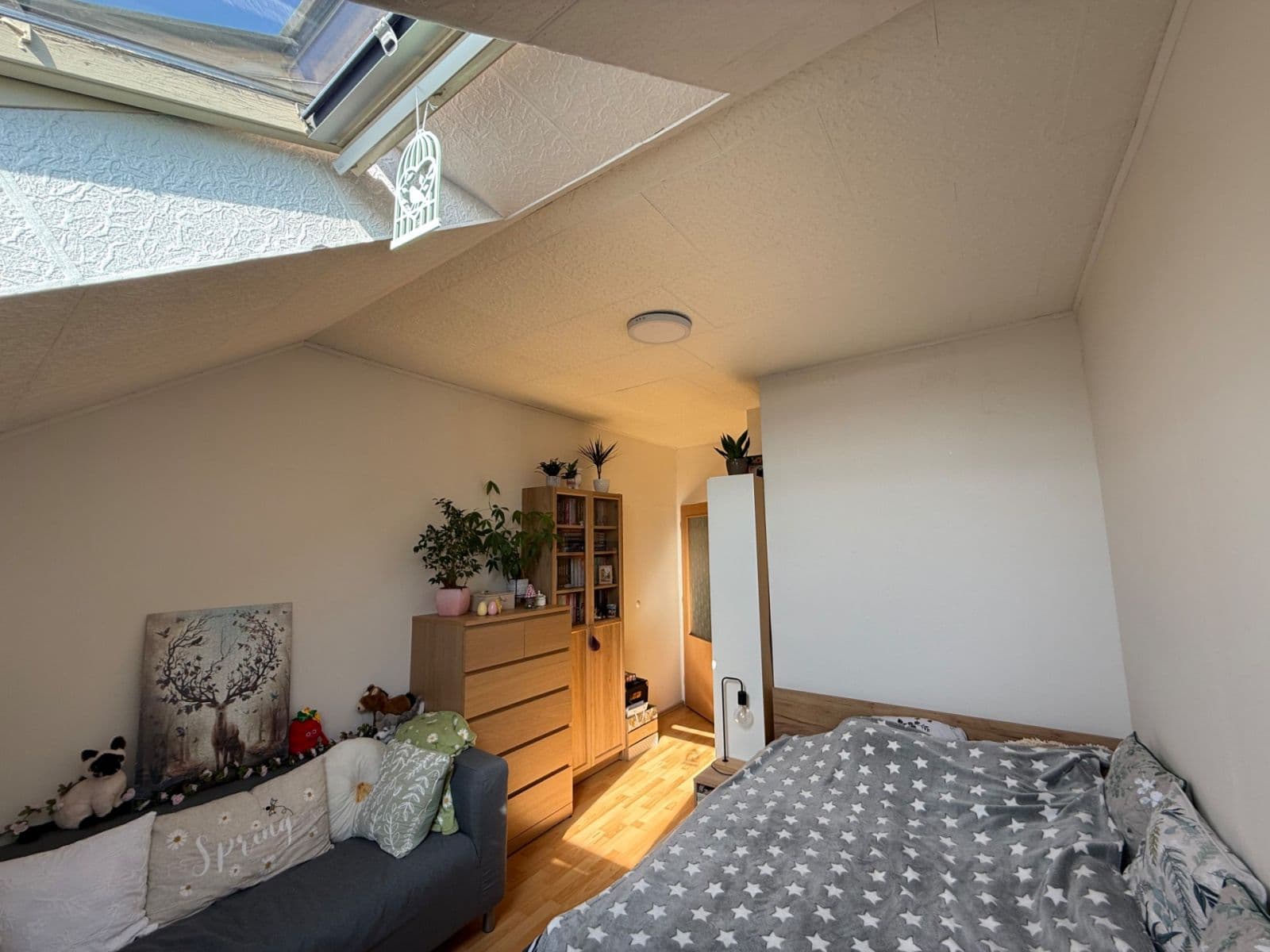 Pronájem bytu 2+kk 36 m², Hlaváčova, Brno, Jihomoravský kraj Pronájem bytu 2+kk 36 m², Hlaváčova, Brno, Jihomoravský kraj