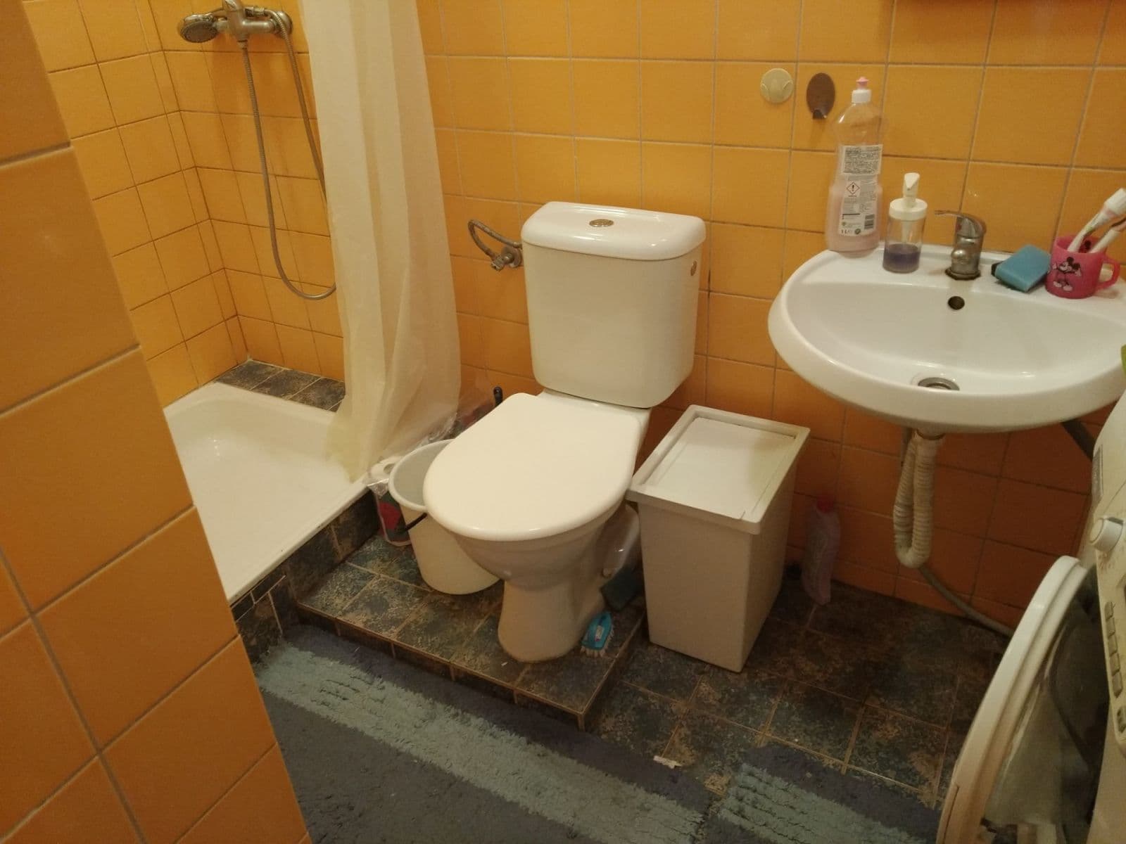 Pronájem bytu Garsoniéra 36 m², Hlaváčova, Brno, Jihomoravský kraj Pronájem bytu Garsoniéra 36 m², Hlaváčova, Brno, Jihomoravský kraj