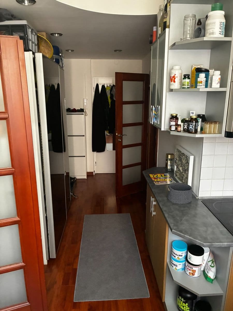 Pronájem bytu 1+1 36 m², Nad ostrovem, Praha, Praha Pronájem bytu 1+1 36 m², Nad ostrovem, Praha, Praha