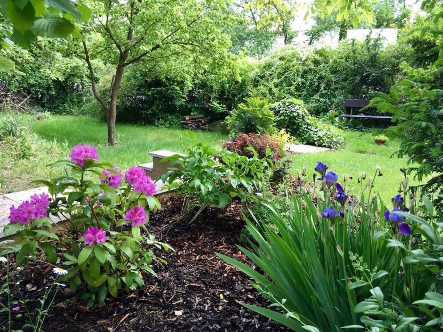 Pronájem bytu 2+kk 50 m², U Malvazinky, Praha, Praha Pronájem bytu 2+kk 50 m², U Malvazinky, Praha, Praha