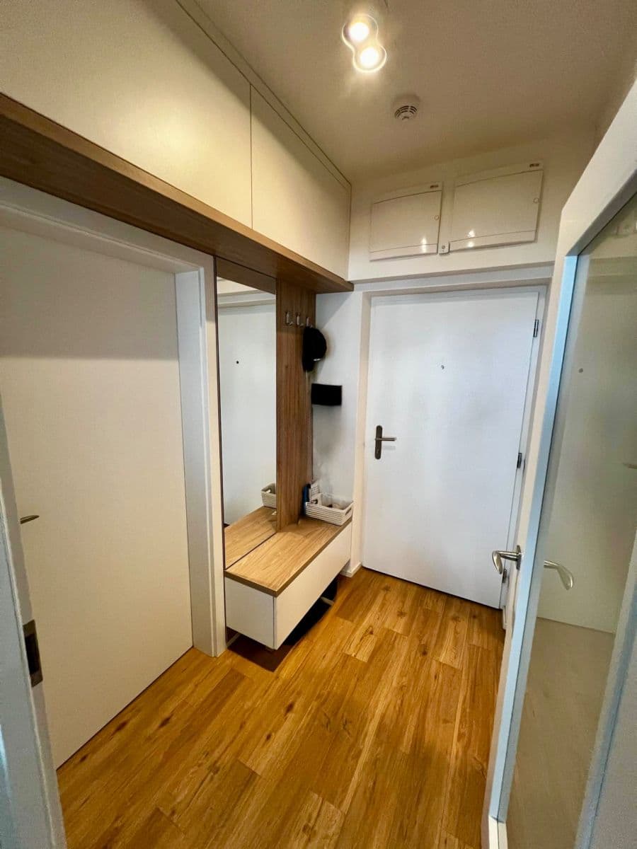 Pronájem bytu 2+kk 42 m², Vídeňská, Brno, Jihomoravský kraj Pronájem bytu 2+kk 42 m², Vídeňská, Brno, Jihomoravský kraj