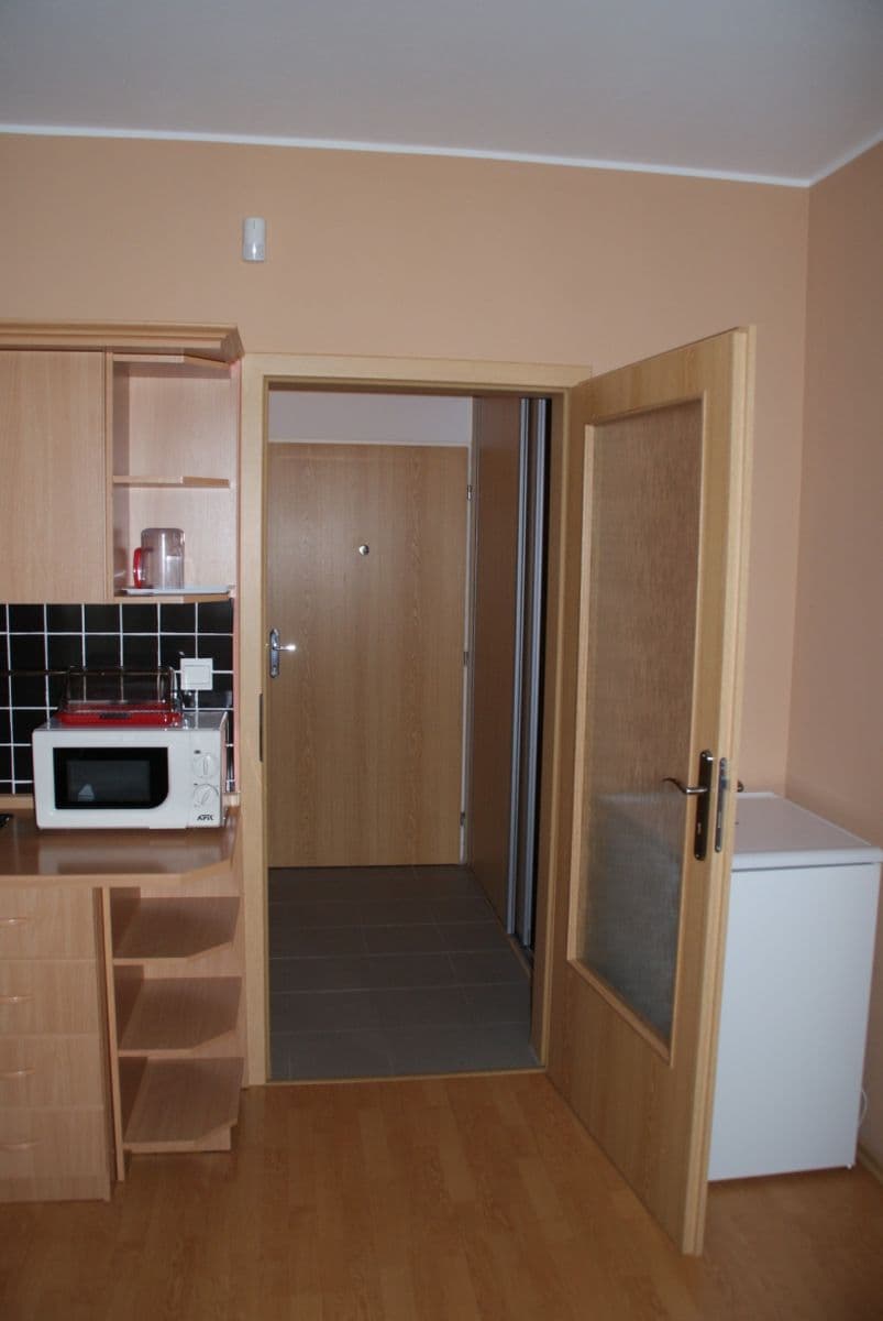 Pronájem bytu 1+kk 29 m², Černochova, Praha, Praha Pronájem bytu 1+kk 29 m², Černochova, Praha, Praha