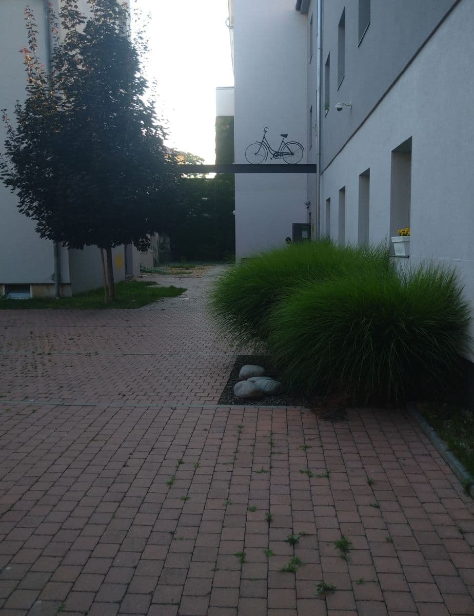 Prodej bytu 1+kk 23 m², Cejl, Brno, Jihomoravský kraj Prodej bytu 1+kk 23 m², Cejl, Brno, Jihomoravský kraj