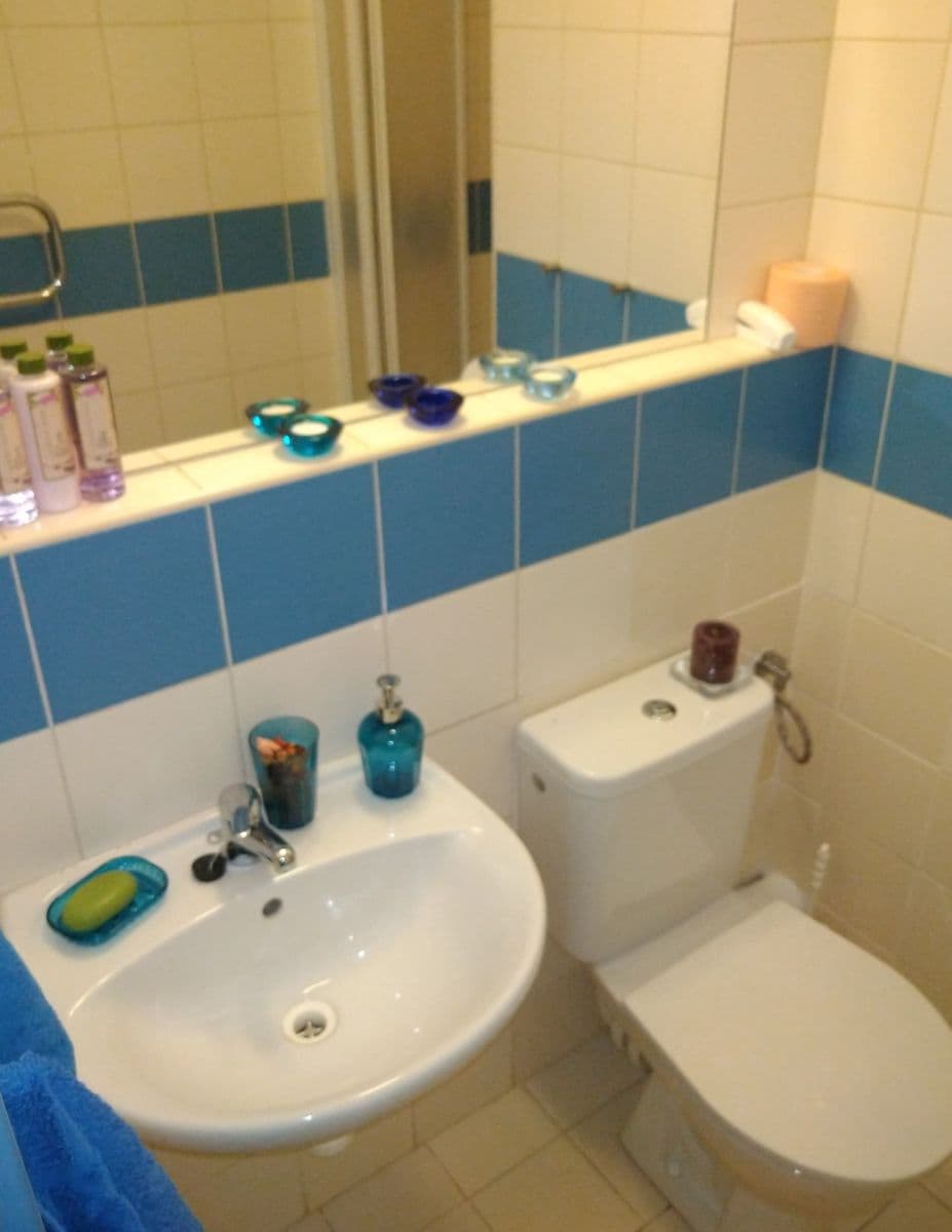 Prodej bytu 1+kk 23 m², Cejl, Brno, Jihomoravský kraj Prodej bytu 1+kk 23 m², Cejl, Brno, Jihomoravský kraj