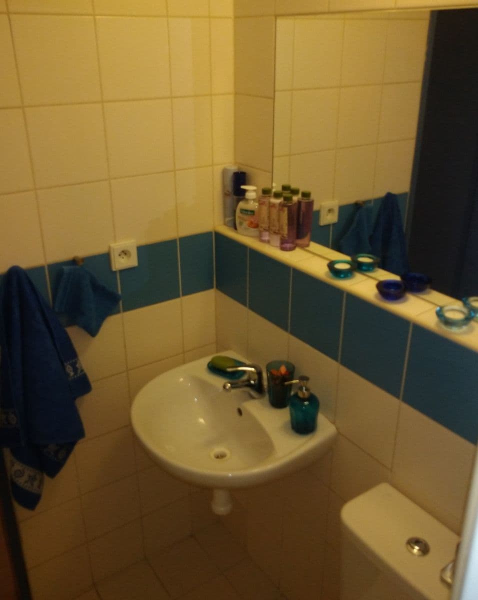Prodej bytu 1+kk 23 m², Cejl, Brno, Jihomoravský kraj Prodej bytu 1+kk 23 m², Cejl, Brno, Jihomoravský kraj