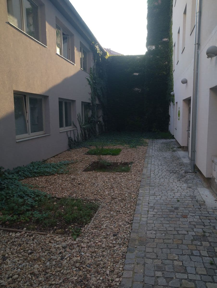 Prodej bytu 1+kk 23 m², Cejl, Brno, Jihomoravský kraj Prodej bytu 1+kk 23 m², Cejl, Brno, Jihomoravský kraj
