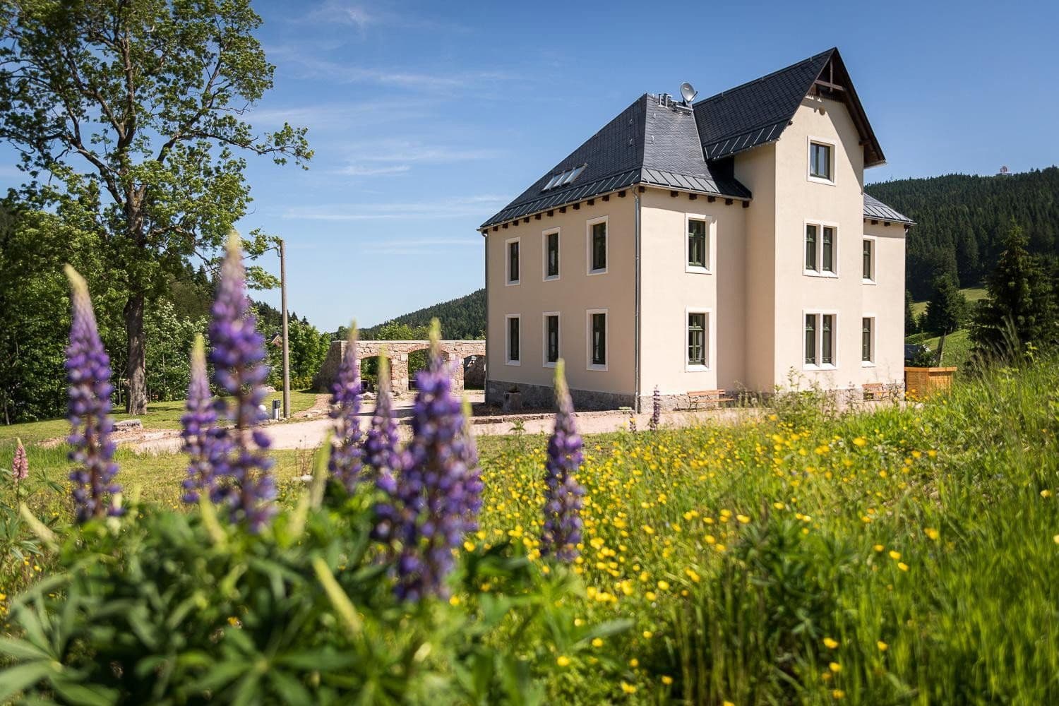 Prodej domu 377 m², pozemek 20.000 m², Eibenstock, Sasko Prodej domu 377 m², pozemek 20.000 m², Eibenstock, Sasko
