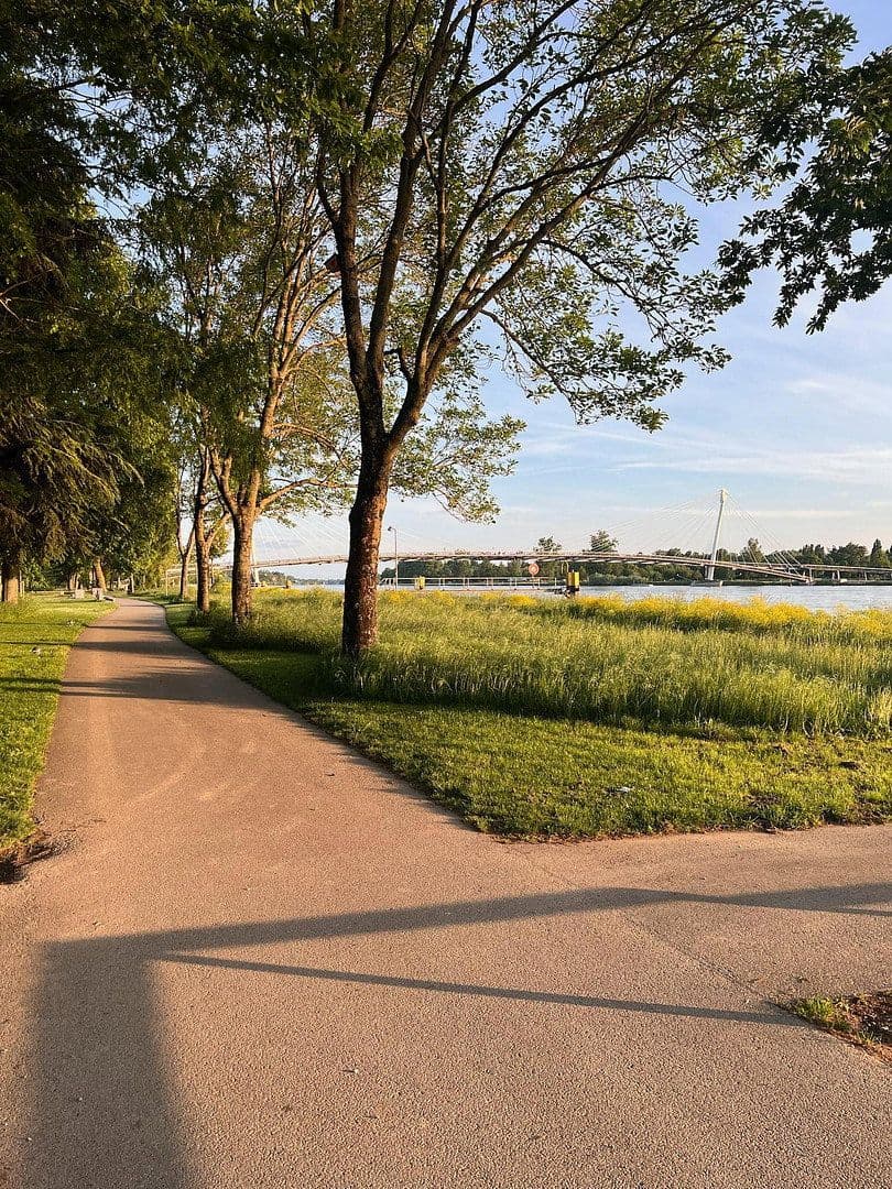 Prodej bytu 3+kk 109 m², Friedenstraße 22, Kehl, Bádensko-Württembersko Prodej bytu 3+kk 109 m², Friedenstraße 22, Kehl, Bádensko-Württembersko