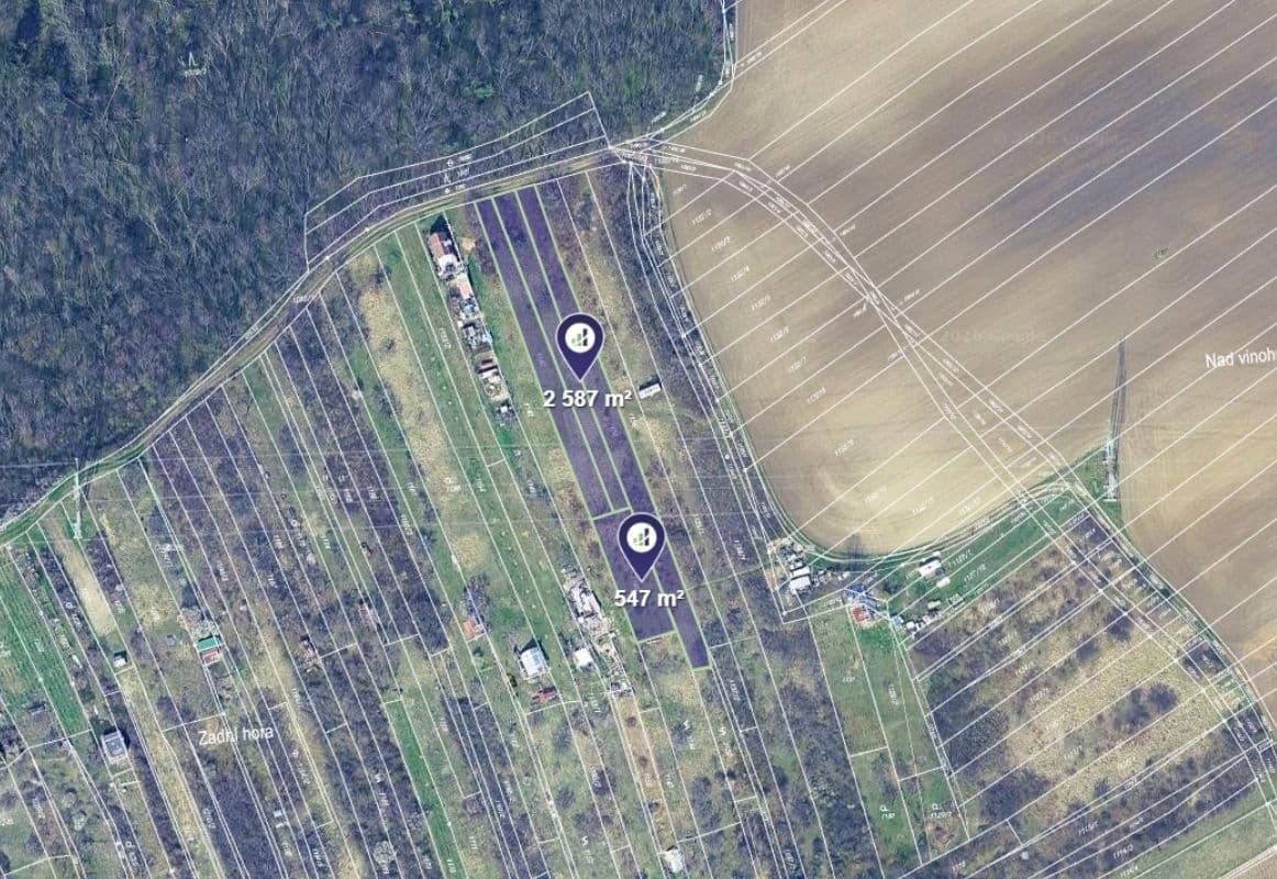 Prodej pozemku 3.134 m², Kobeřice u Brna, Jihomoravský kraj Prodej pozemku 3.134 m², Kobeřice u Brna, Jihomoravský kraj