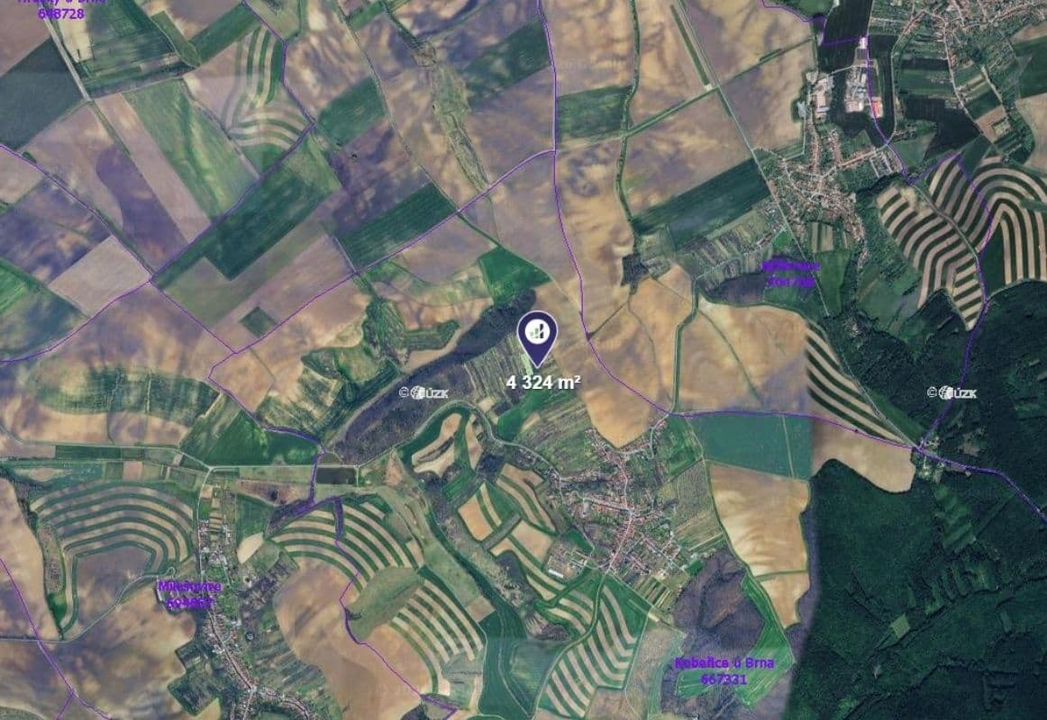 Prodej pozemku 4.324 m², Kobeřice u Brna, Jihomoravský kraj Prodej pozemku 4.324 m², Kobeřice u Brna, Jihomoravský kraj