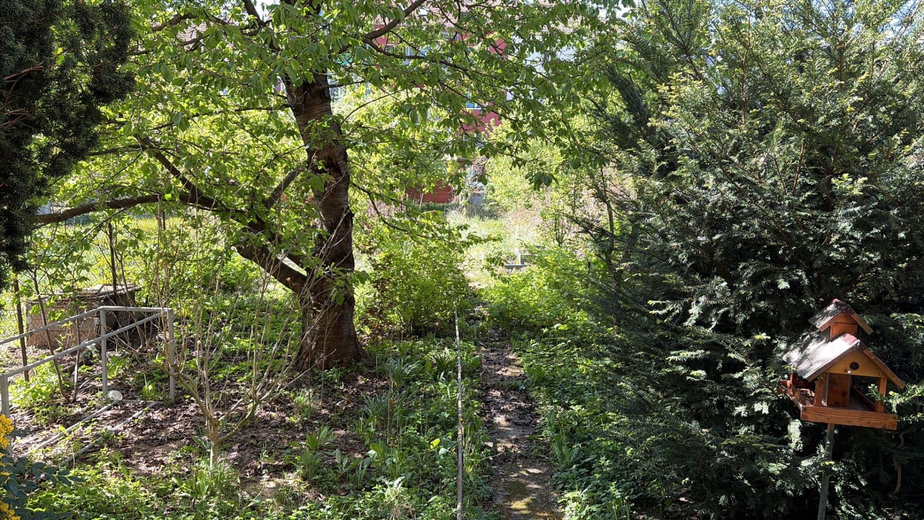 Pronájem bytu 1+1 30 m², Šmejkalova, Brno, Jihomoravský kraj Pronájem bytu 1+1 30 m², Šmejkalova, Brno, Jihomoravský kraj