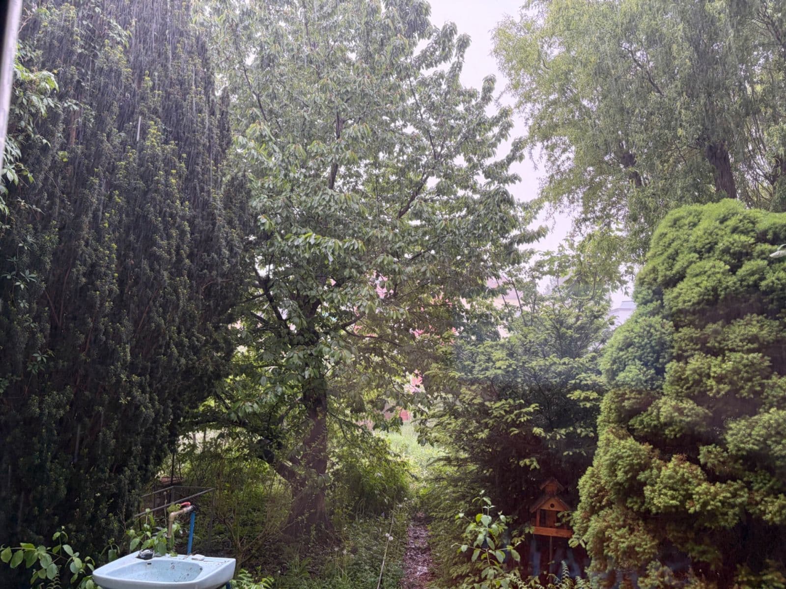 Pronájem bytu 1+1 30 m², Šmejkalova, Brno, Jihomoravský kraj Pronájem bytu 1+1 30 m², Šmejkalova, Brno, Jihomoravský kraj