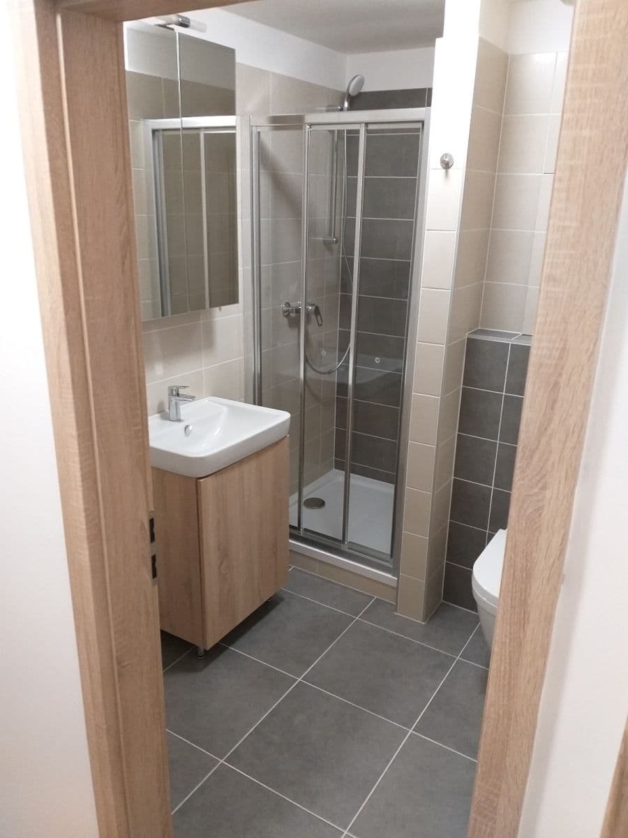 Pronájem bytu 1+kk 36 m², Přadlácká, Brno, Jihomoravský kraj Pronájem bytu 1+kk 36 m², Přadlácká, Brno, Jihomoravský kraj