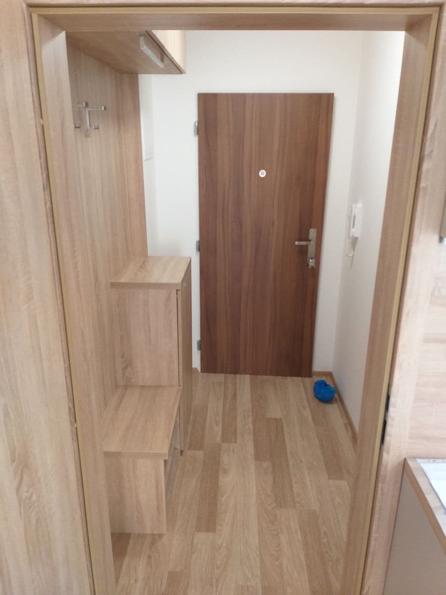 Pronájem bytu 1+kk 36 m², Přadlácká, Brno, Jihomoravský kraj Pronájem bytu 1+kk 36 m², Přadlácká, Brno, Jihomoravský kraj