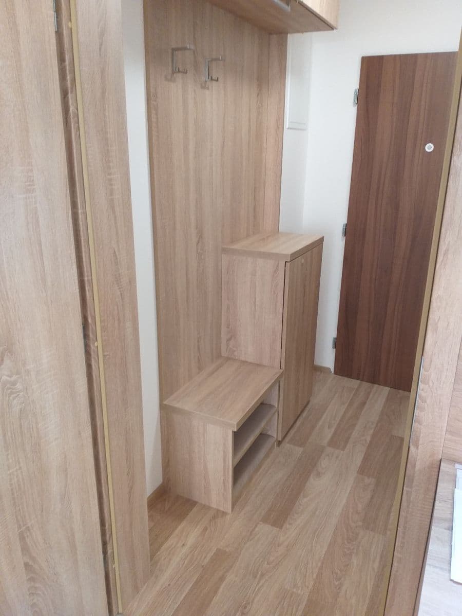 Pronájem bytu 1+kk 36 m², Přadlácká, Brno, Jihomoravský kraj Pronájem bytu 1+kk 36 m², Přadlácká, Brno, Jihomoravský kraj