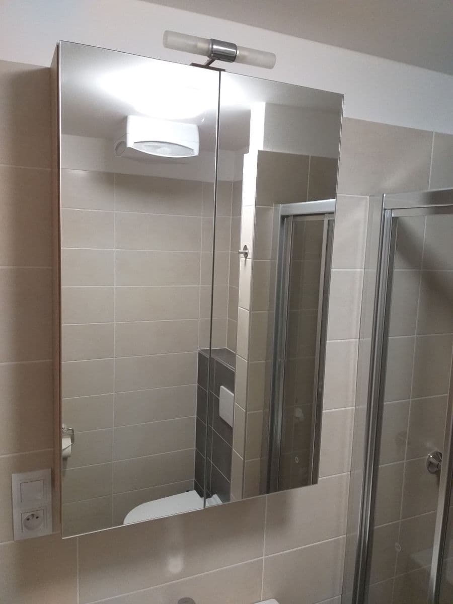 Pronájem bytu 1+kk 36 m², Přadlácká, Brno, Jihomoravský kraj Pronájem bytu 1+kk 36 m², Přadlácká, Brno, Jihomoravský kraj