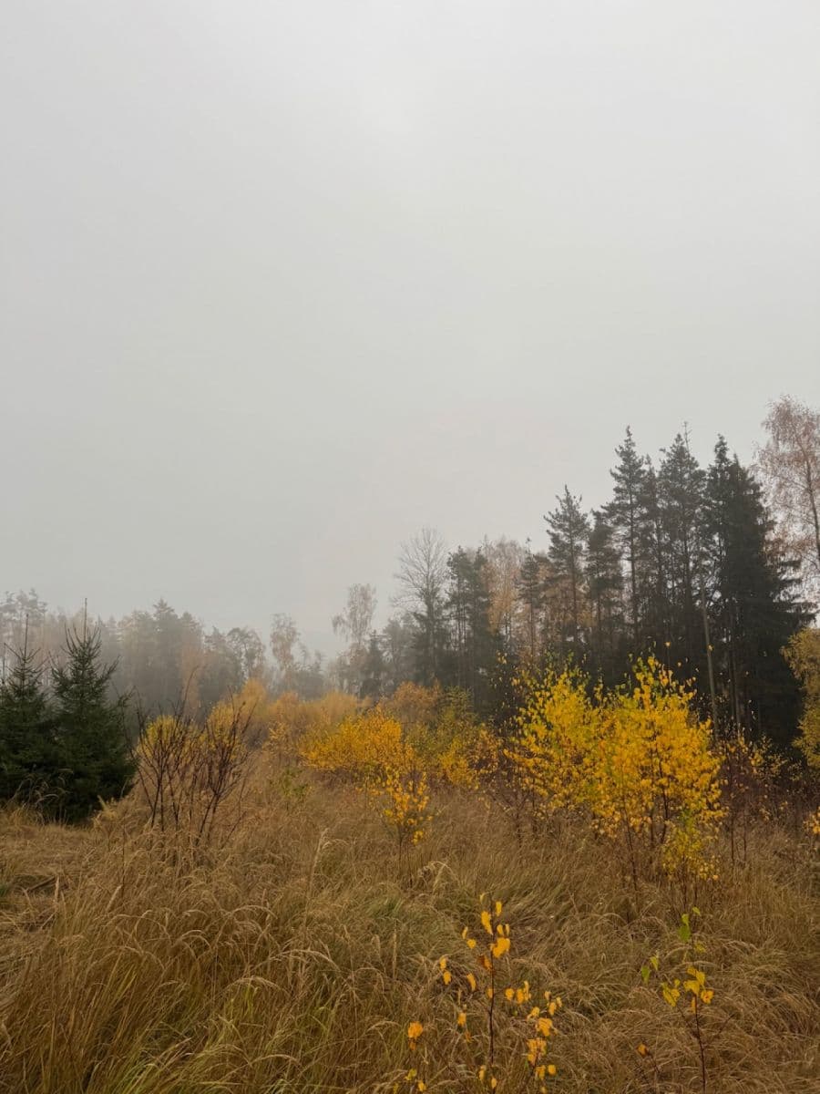 Prodej pozemku 13.538 m², Úboč, Plzeňský kraj Prodej pozemku 13.538 m², Úboč, Plzeňský kraj