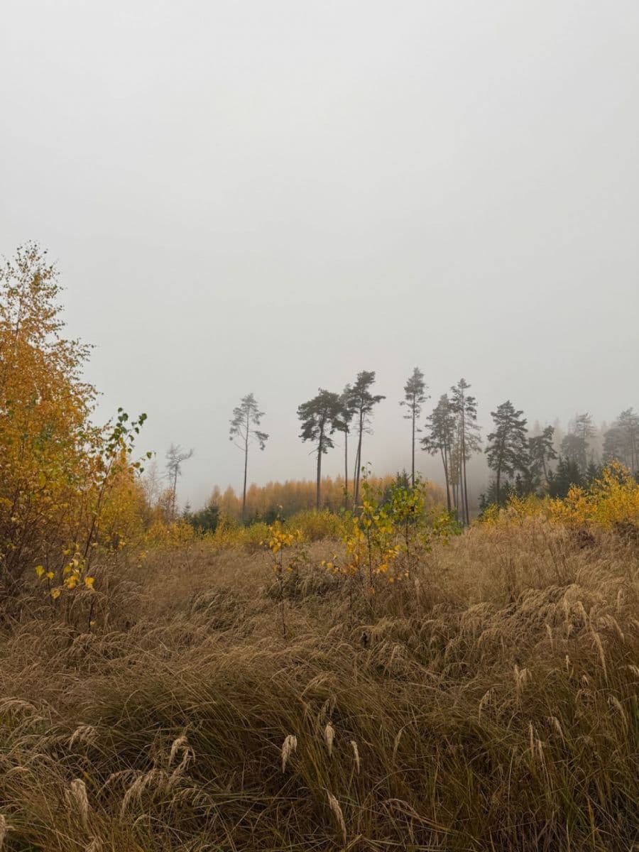Prodej pozemku 13.538 m², Úboč, Plzeňský kraj Prodej pozemku 13.538 m², Úboč, Plzeňský kraj