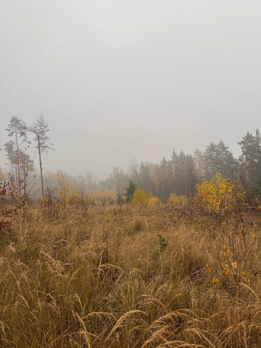 Prodej pozemku 13.538 m², Úboč, Plzeňský kraj Prodej pozemku 13.538 m², Úboč, Plzeňský kraj