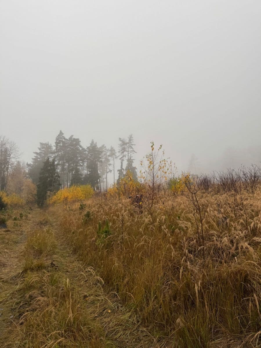Prodej pozemku 13.538 m², Úboč, Plzeňský kraj Prodej pozemku 13.538 m², Úboč, Plzeňský kraj