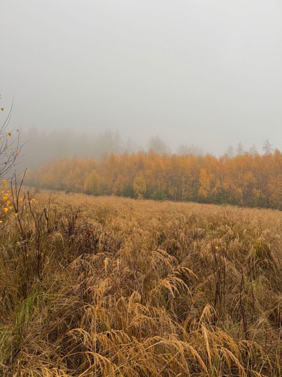Prodej pozemku 13.538 m², Úboč, Plzeňský kraj Prodej pozemku 13.538 m², Úboč, Plzeňský kraj