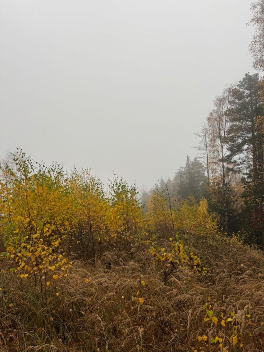 Prodej pozemku 13.538 m², Úboč, Plzeňský kraj Prodej pozemku 13.538 m², Úboč, Plzeňský kraj