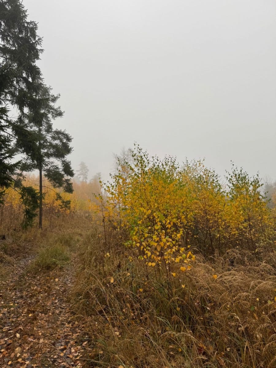 Prodej pozemku 13.538 m², Úboč, Plzeňský kraj Prodej pozemku 13.538 m², Úboč, Plzeňský kraj