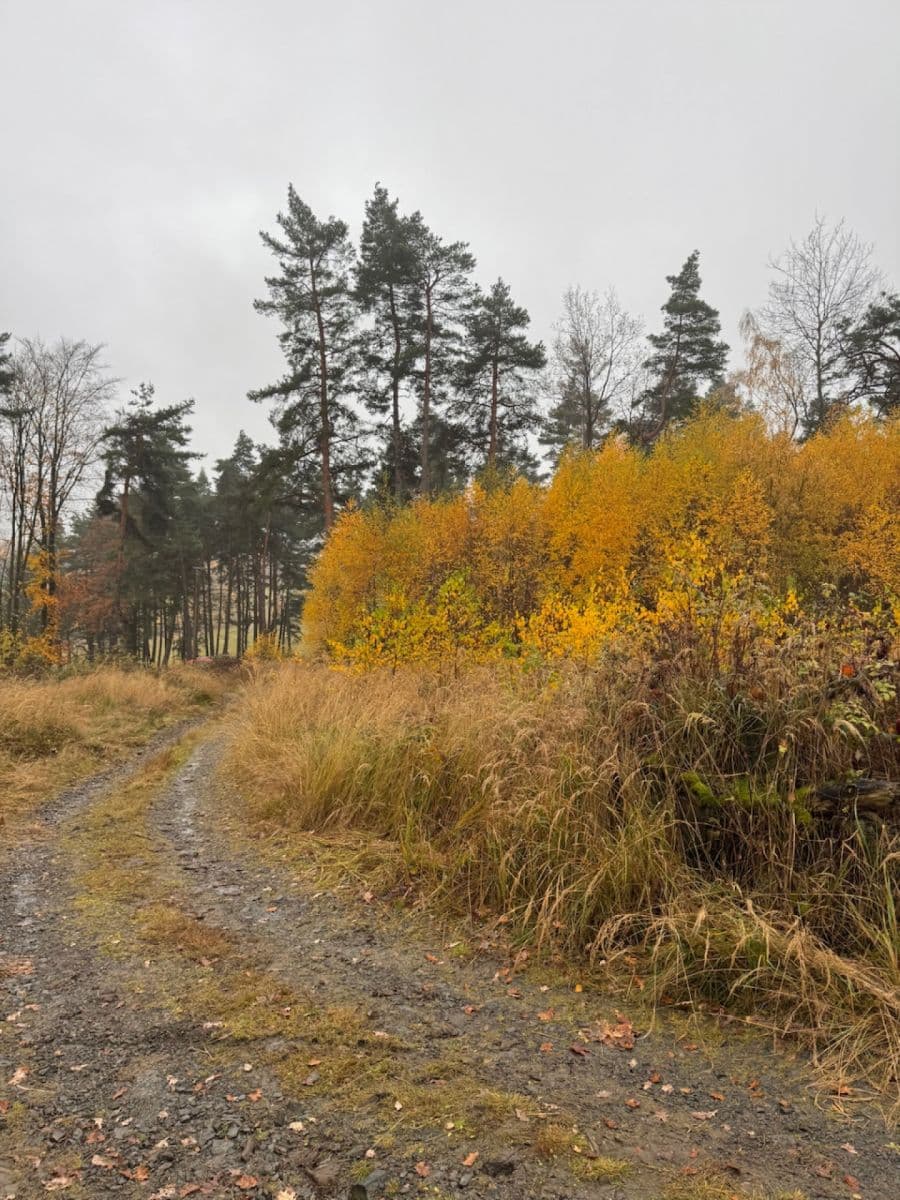 Prodej pozemku 13.538 m², Úboč, Plzeňský kraj Prodej pozemku 13.538 m², Úboč, Plzeňský kraj