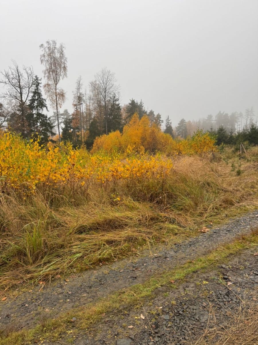 Prodej pozemku 13.538 m², Úboč, Plzeňský kraj Prodej pozemku 13.538 m², Úboč, Plzeňský kraj