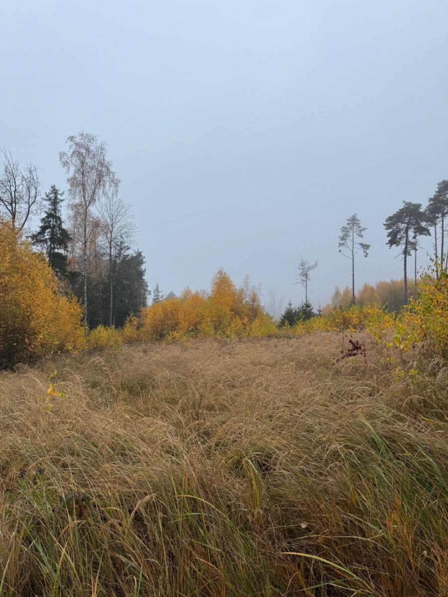 Prodej pozemku 13.538 m², Úboč, Plzeňský kraj Prodej pozemku 13.538 m², Úboč, Plzeňský kraj