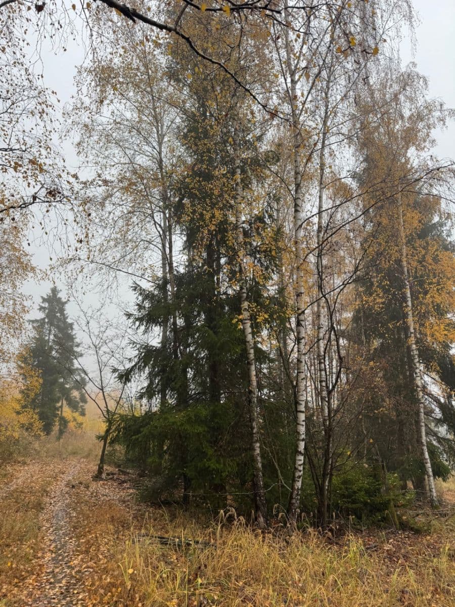 Prodej pozemku 13.538 m², Úboč, Plzeňský kraj Prodej pozemku 13.538 m², Úboč, Plzeňský kraj