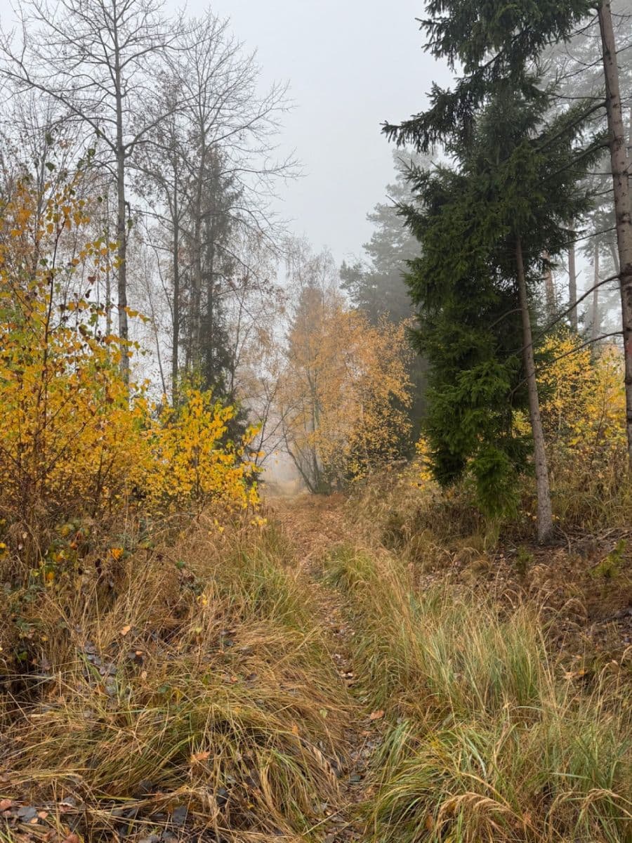 Prodej pozemku 13.538 m², Úboč, Plzeňský kraj Prodej pozemku 13.538 m², Úboč, Plzeňský kraj