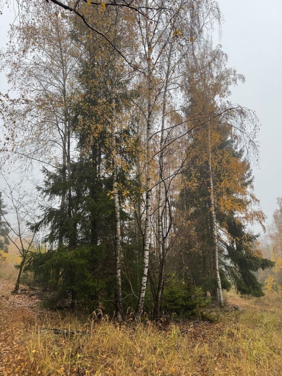 Prodej pozemku 13.538 m², Úboč, Plzeňský kraj Prodej pozemku 13.538 m², Úboč, Plzeňský kraj
