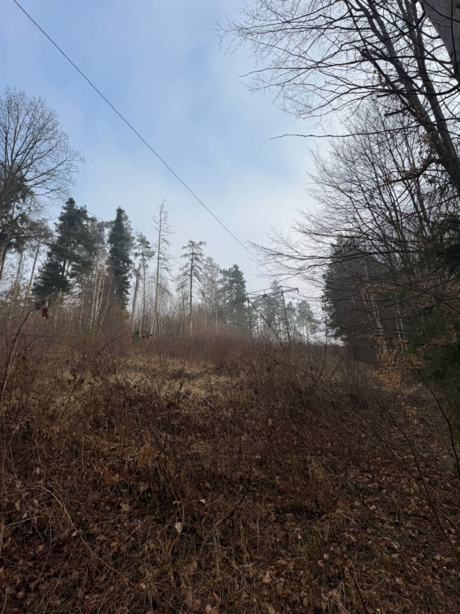 Prodej pozemku 5.829 m², Malá Bystřice, Zlínský kraj Prodej pozemku 5.829 m², Malá Bystřice, Zlínský kraj