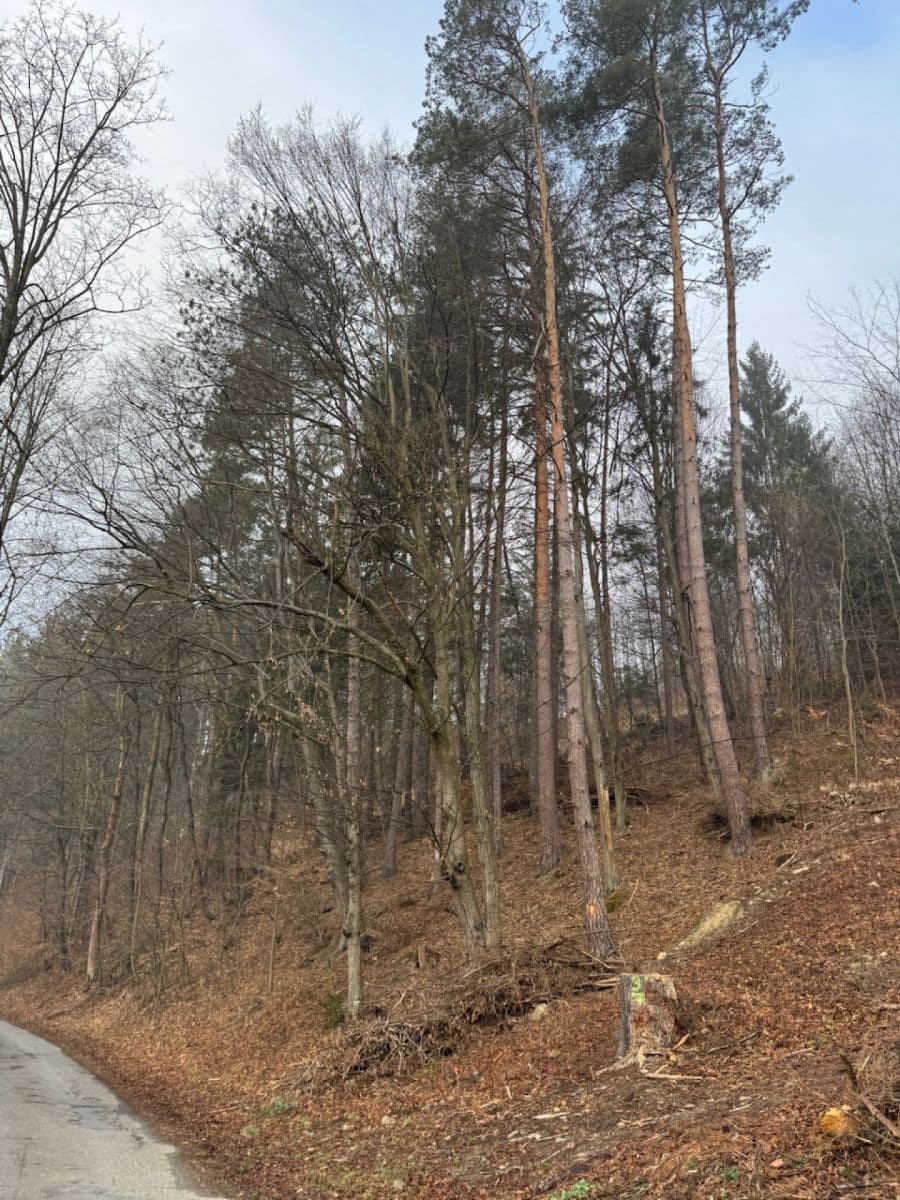 Prodej pozemku 5.829 m², Malá Bystřice, Zlínský kraj Prodej pozemku 5.829 m², Malá Bystřice, Zlínský kraj