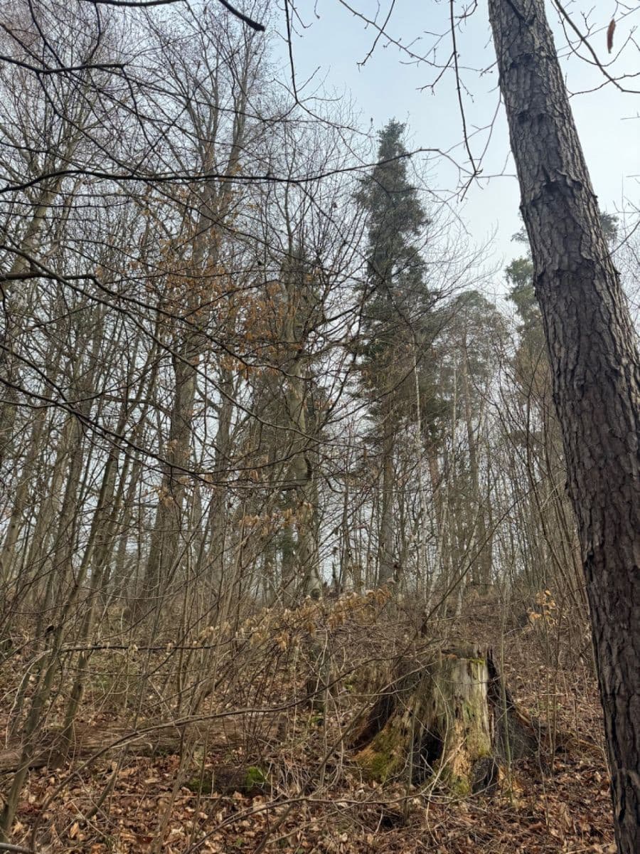 Prodej pozemku 5.829 m², Malá Bystřice, Zlínský kraj Prodej pozemku 5.829 m², Malá Bystřice, Zlínský kraj