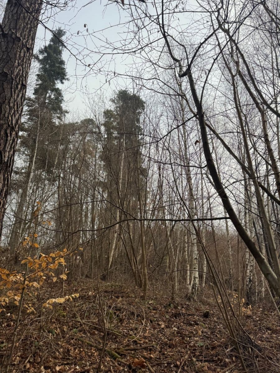 Prodej pozemku 5.829 m², Malá Bystřice, Zlínský kraj Prodej pozemku 5.829 m², Malá Bystřice, Zlínský kraj
