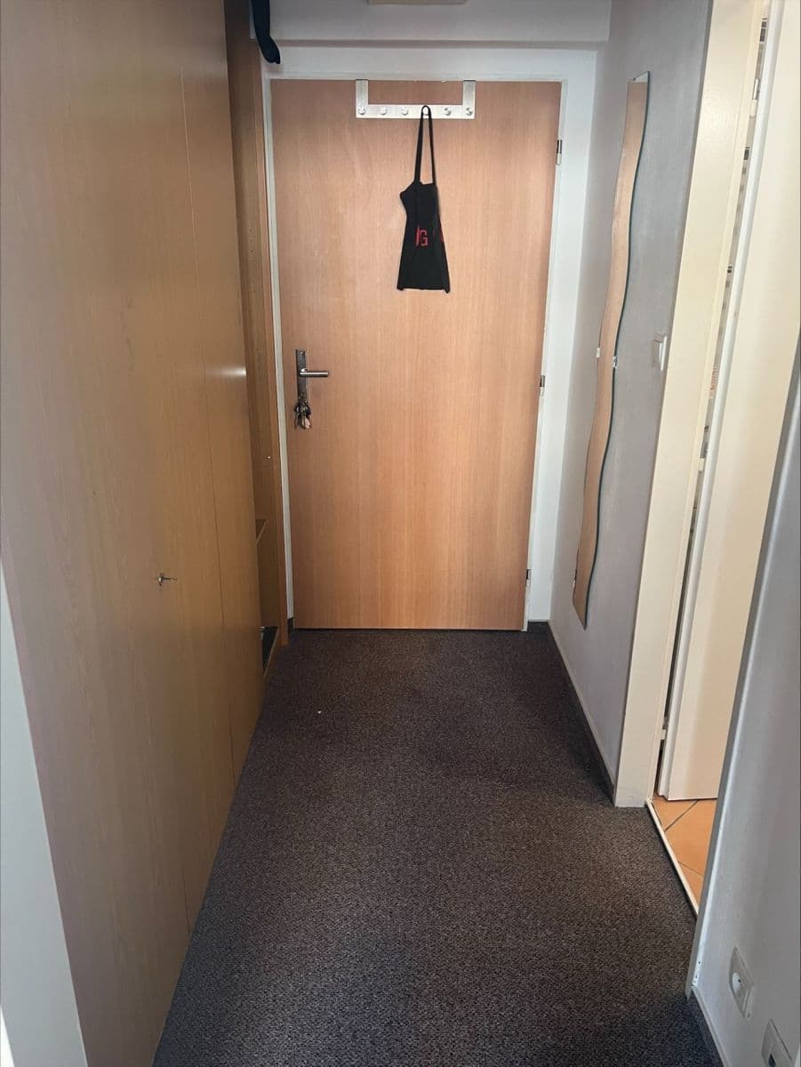 Pronájem bytu 1+kk 41 m², Hnězdenská, Praha, Praha Pronájem bytu 1+kk 41 m², Hnězdenská, Praha, Praha