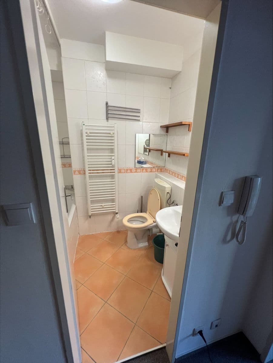 Pronájem bytu 1+kk 41 m², Hnězdenská, Praha, Praha Pronájem bytu 1+kk 41 m², Hnězdenská, Praha, Praha