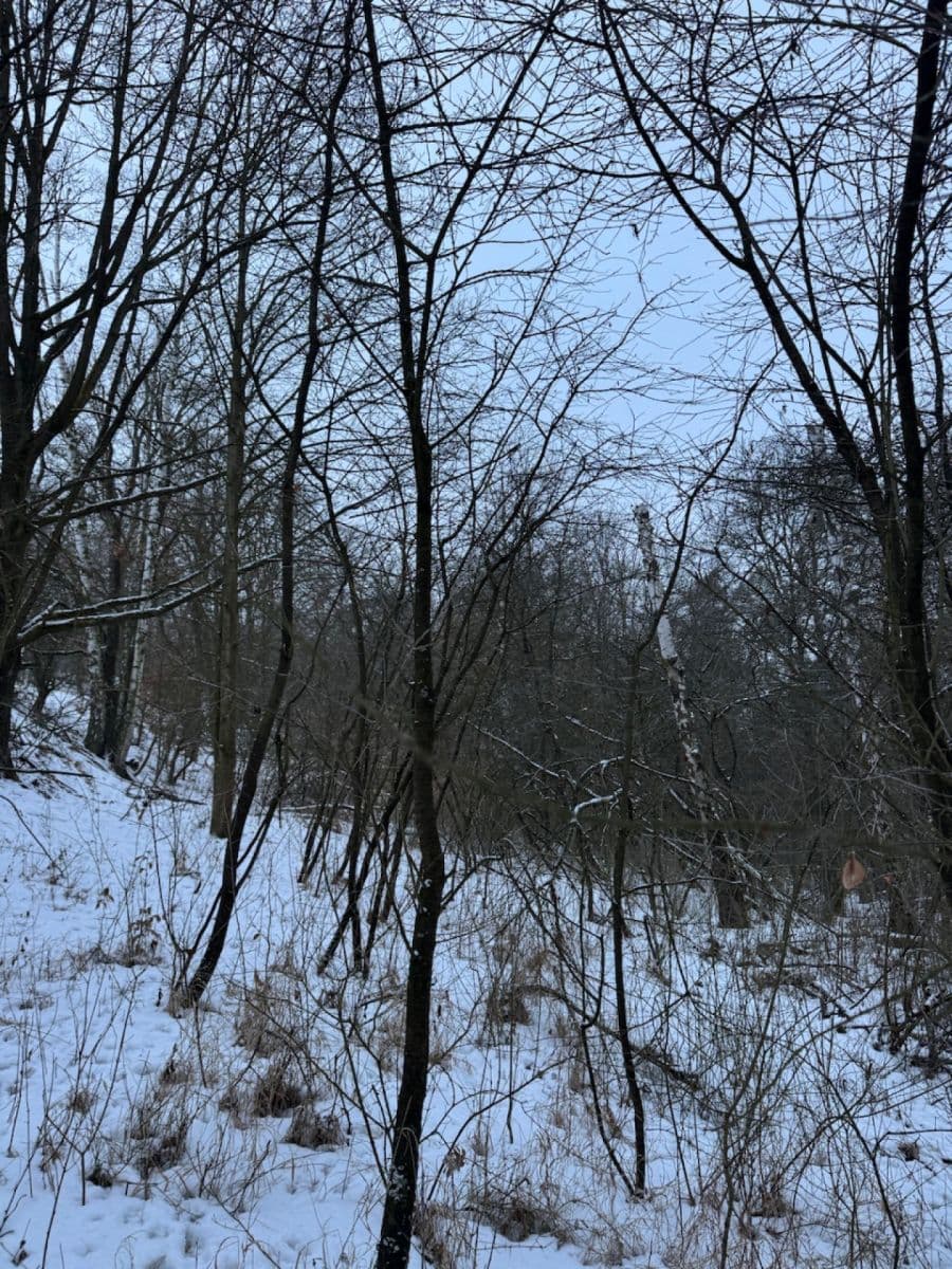 Prodej pozemku 20.392 m², Kralupy nad Vltavou, Středočeský kraj Prodej pozemku 20.392 m², Kralupy nad Vltavou, Středočeský kraj