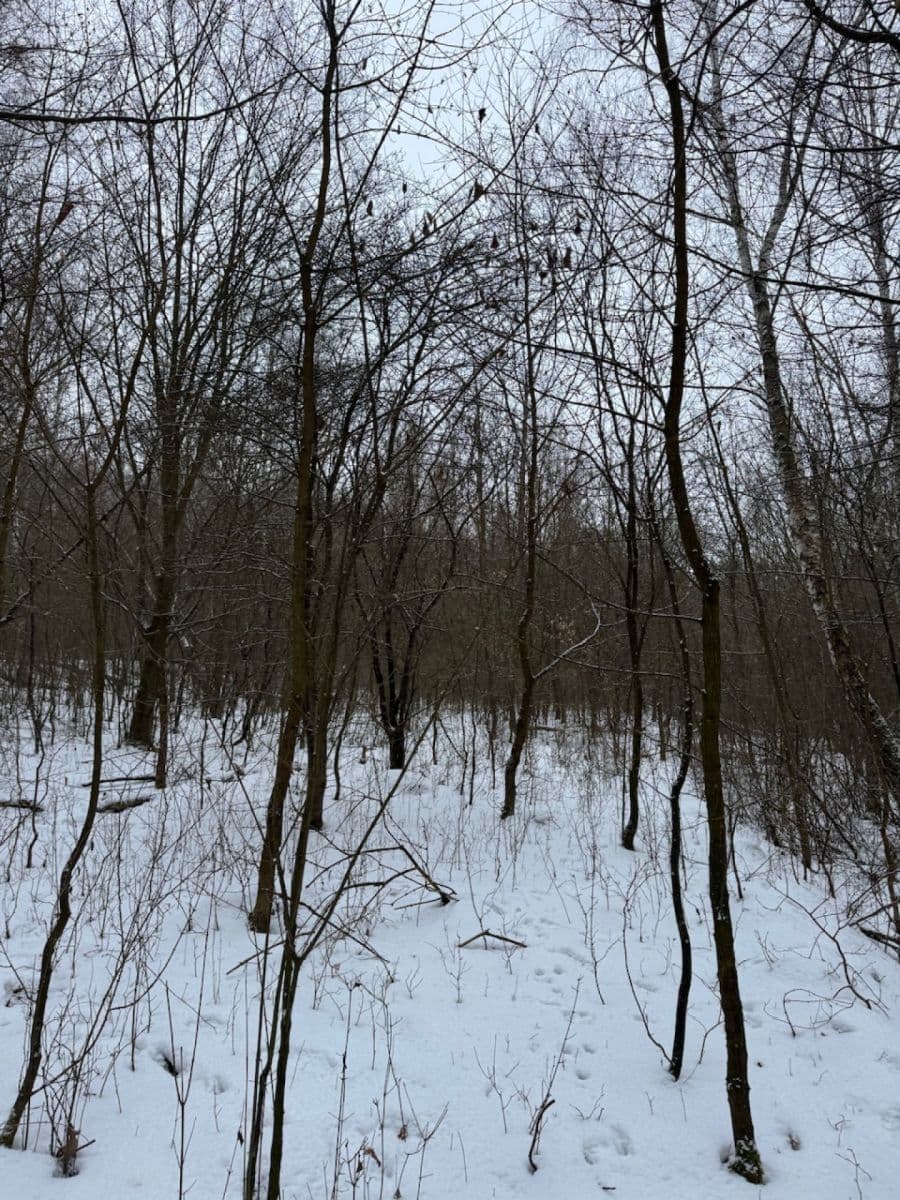 Prodej pozemku 20.392 m², Kralupy nad Vltavou, Středočeský kraj Prodej pozemku 20.392 m², Kralupy nad Vltavou, Středočeský kraj