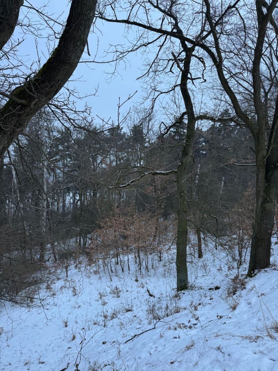 Prodej pozemku 20.392 m², Kralupy nad Vltavou, Středočeský kraj Prodej pozemku 20.392 m², Kralupy nad Vltavou, Středočeský kraj