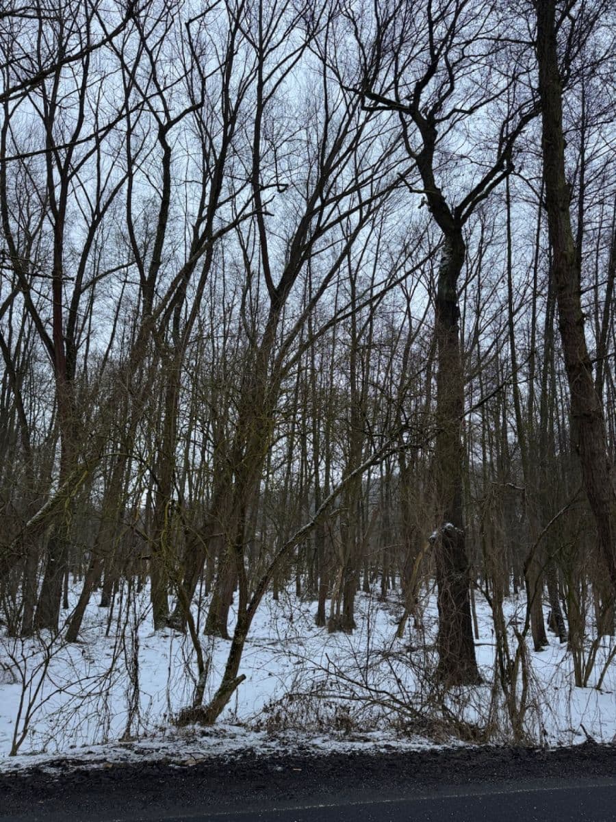 Prodej pozemku 20.392 m², Kralupy nad Vltavou, Středočeský kraj Prodej pozemku 20.392 m², Kralupy nad Vltavou, Středočeský kraj