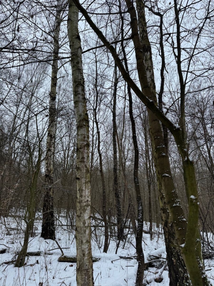 Prodej pozemku 20.392 m², Kralupy nad Vltavou, Středočeský kraj Prodej pozemku 20.392 m², Kralupy nad Vltavou, Středočeský kraj