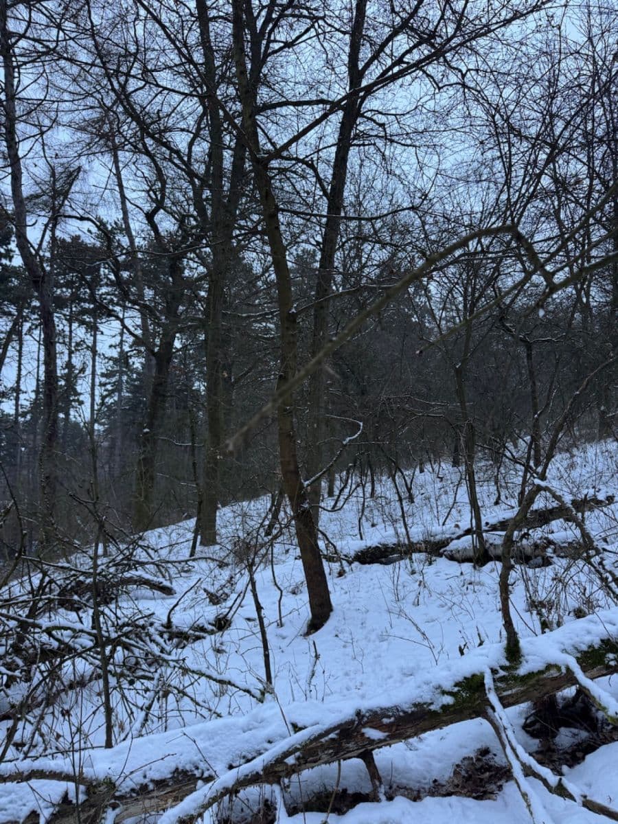 Prodej pozemku 20.392 m², Kralupy nad Vltavou, Středočeský kraj Prodej pozemku 20.392 m², Kralupy nad Vltavou, Středočeský kraj